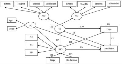 Mediator Roles of Social Support and Hope in the Relationship Between Body Image Distress and Resilience in Breast Cancer Patients Undergoing Treatment: A Modeling Analysis